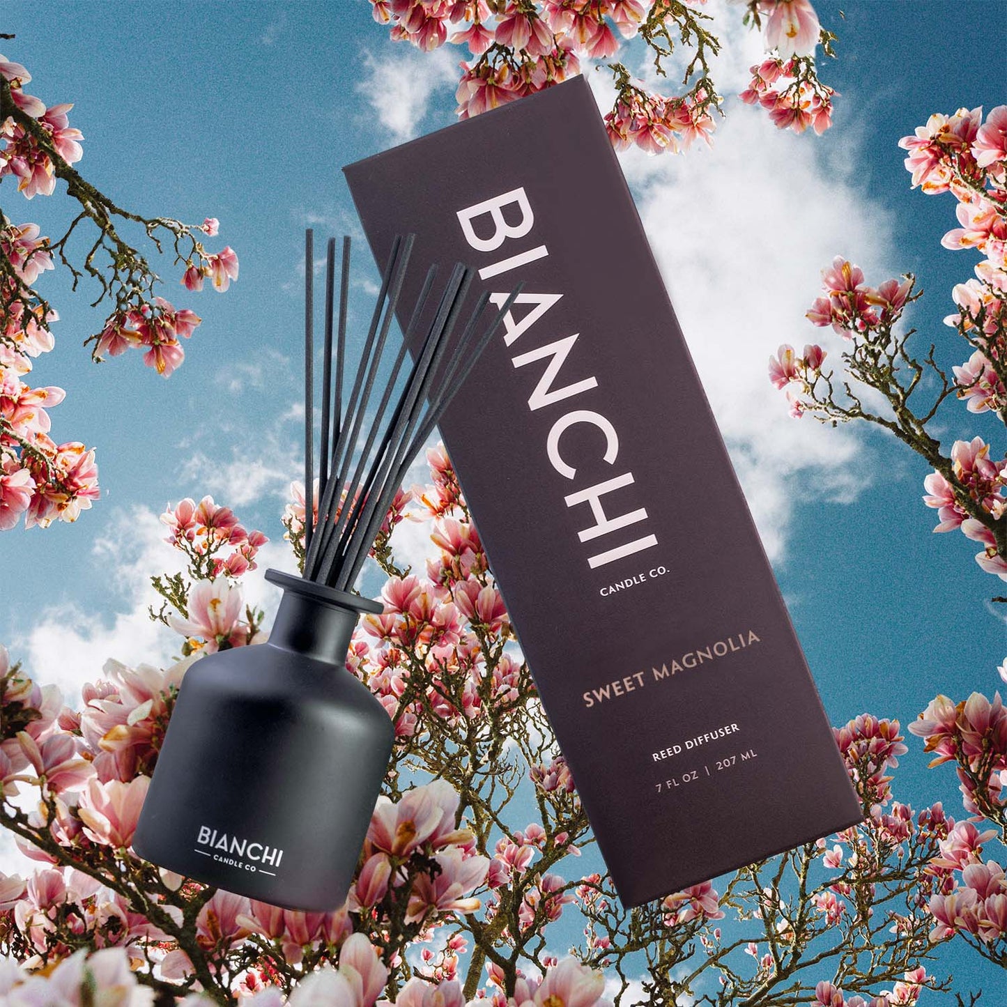 Sweet Magnolia